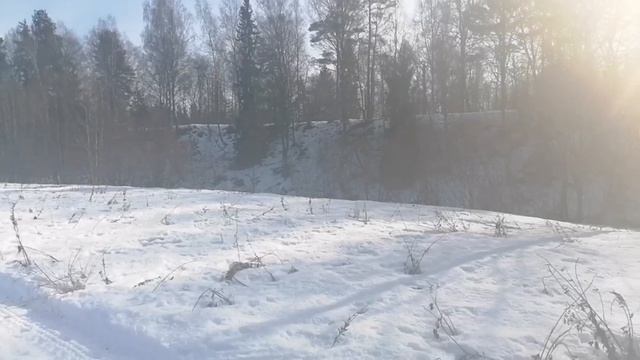 журчат ручьи