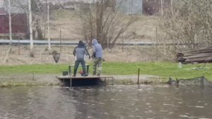 Светлые Горы Форель16 18.04.2026г.