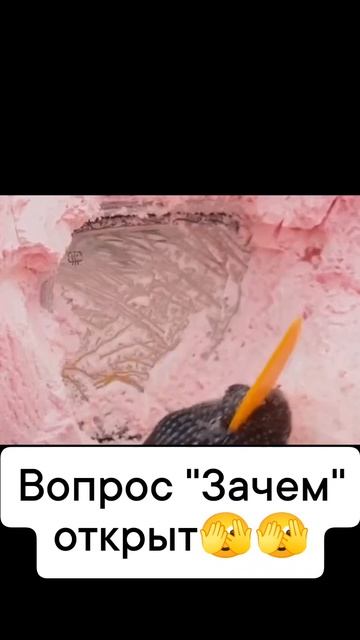 Видео от МЕТЕОР