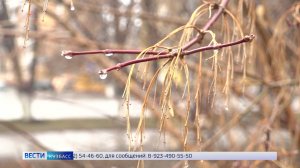 Зима идёт на Кузбасс: сильные снегопады накрыли Новосибирск и Томск