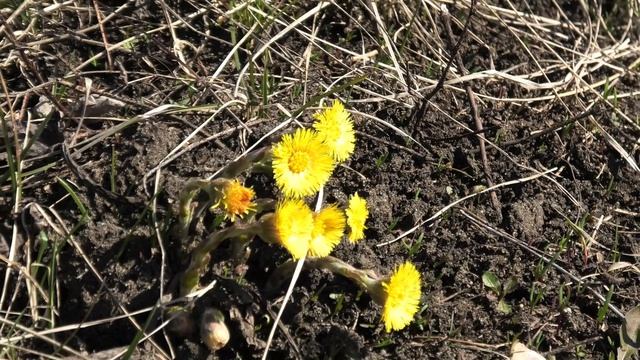 18 апреля 2026