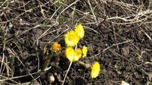 18 апреля 2026