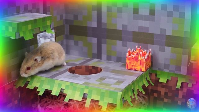 ⚡ Самые быстрые хомяки в истории, Сборник безумных испытаний в лабиринте! серия 5