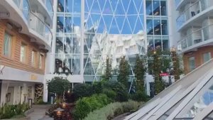 Лиса в Америке ОНИ ЗАПОМНЯТ ЭТО путешествие Супер отдых в круизеВпечатляетRoyal Caribbean круизЕда