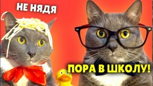 Kotiynet — 3 сезон, 37 серия. | 12+