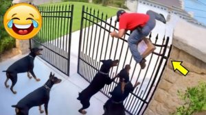 ПОДБОРКА ПРИКОЛОВ Я РЖАЛ ДО СЛЕЗ, ЛУЧШИЕ ПРИКОЛЫ 2026 СМЕШНЫЕ ВИДЕО, ДЕВУШКИ , ПОДБОРКА ПРИКОЛОВ