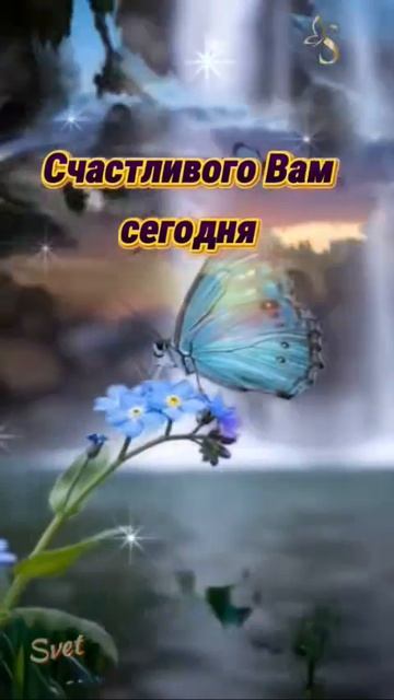 доброе утро