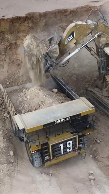 VID_20251110_085615_838