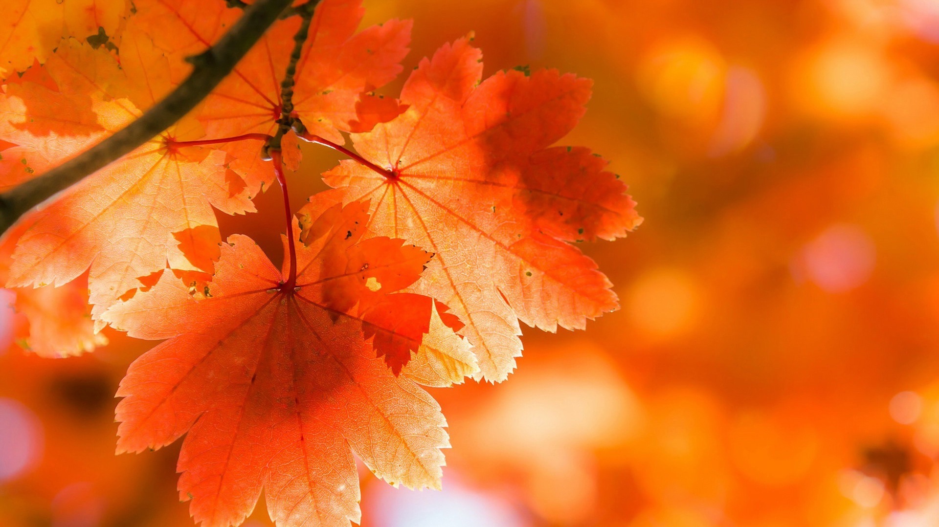 Служение 04 04 2026сб