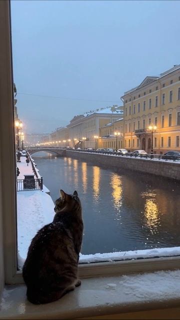 День рождения с тортом и свечами #деньрождения #торт #свечи