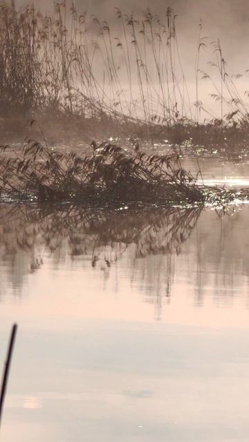 Утро на реке.mp4