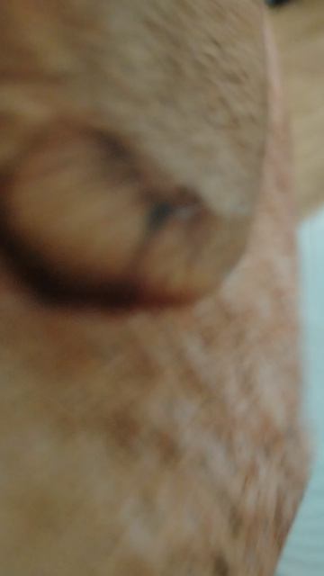 Шлёпа похудел