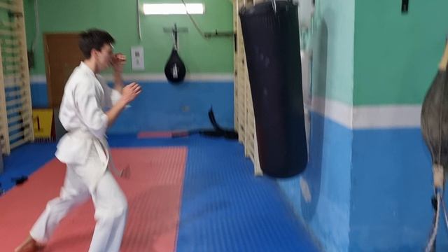 Трудовые будни каратиста 254.