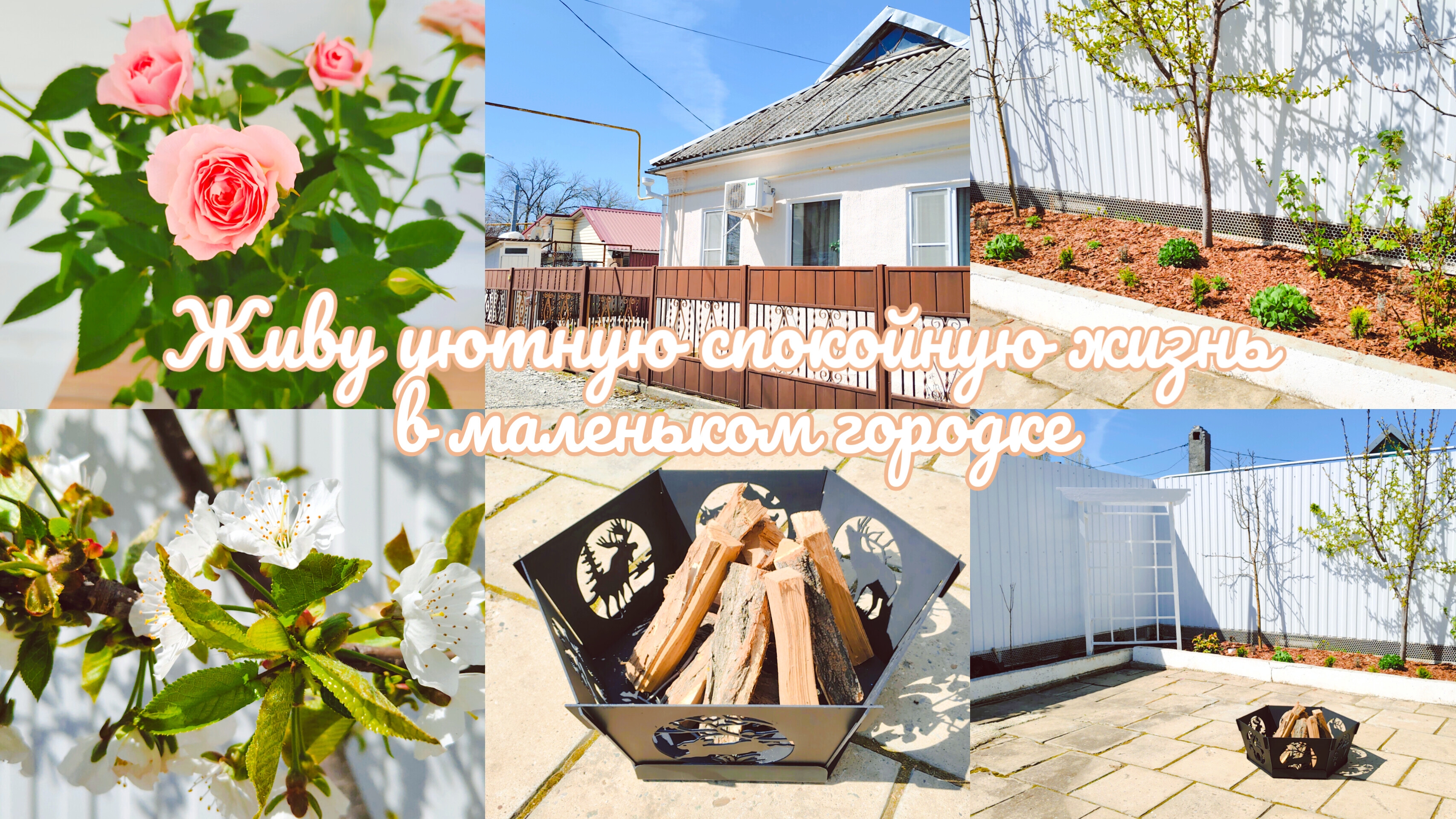 🏡🌳 Покупки для сада с WILDBERRIES и OZON 🌿 создаю сад мечты 🌸 готовим стейки из капусты с курице