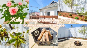 🏡🌳 Покупки для сада с WILDBERRIES и OZON 🌿 создаю сад мечты 🌸 готовим стейки из капусты с курице