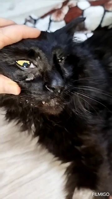 Новый пациент передержки 