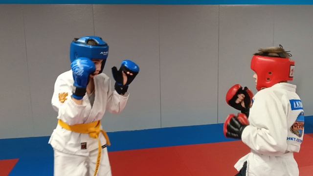 тренировочный день