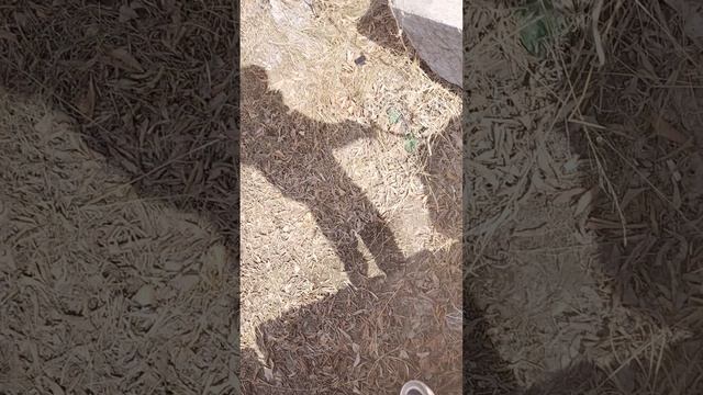 хз какая часть