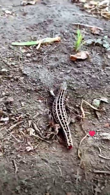 5 августа 2024 г.