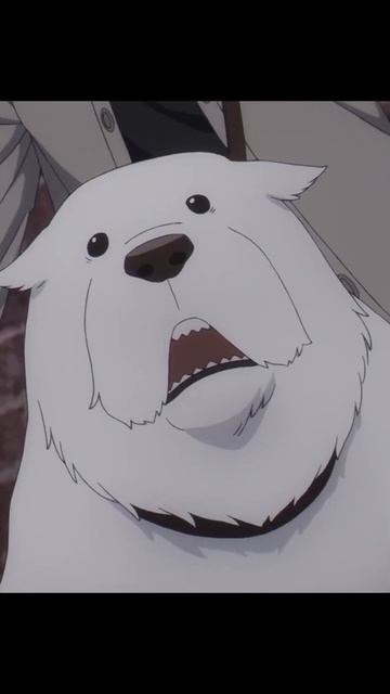 Little Anya Is Too Young To Get Married _ Yor Saves Anya _ Spy X Family #anime #аниме