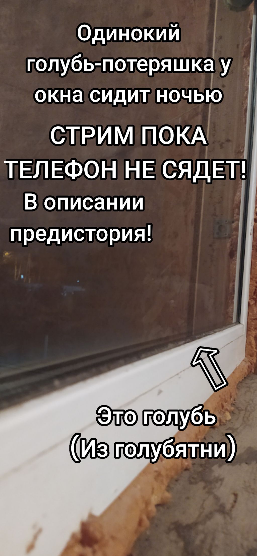 Одинокий у окна ночью