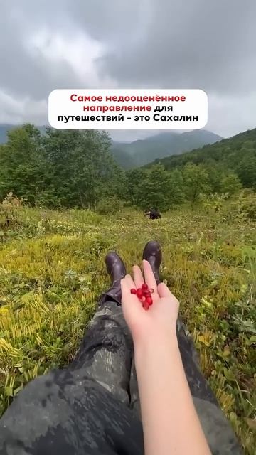 Сахалин - это то направление, о котором молчат туристические блогеры