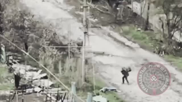 🔴🐷 Два «путешественника» не дошли до цели.🔴