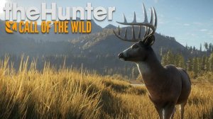 🏹TheHunter: Call of the Wild™(Охотник: Зов дикой природы) #5️⃣