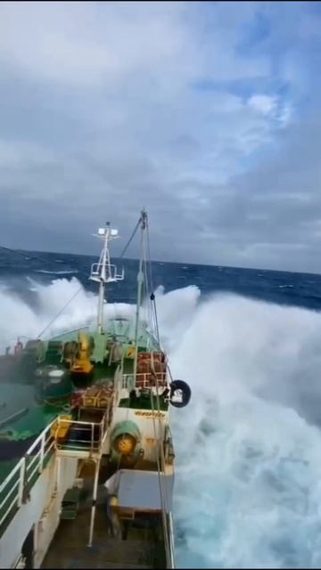 Идем Домой Рейс 2025 Смотреть
Бесплатно всем
#РАКЕТА