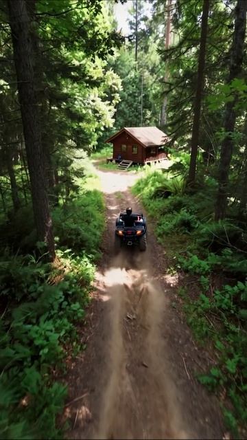 Приключение на квадроцикле в лесу #квадроцикл #природа #приключения