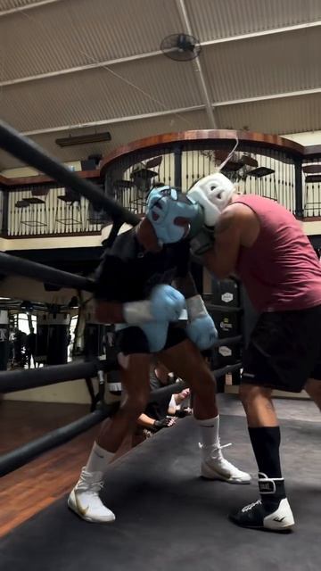 When Your Opponent Pressures You On The RopesStay Calm. Don’t Panic. The Ropes Are Not Danger If.mp4