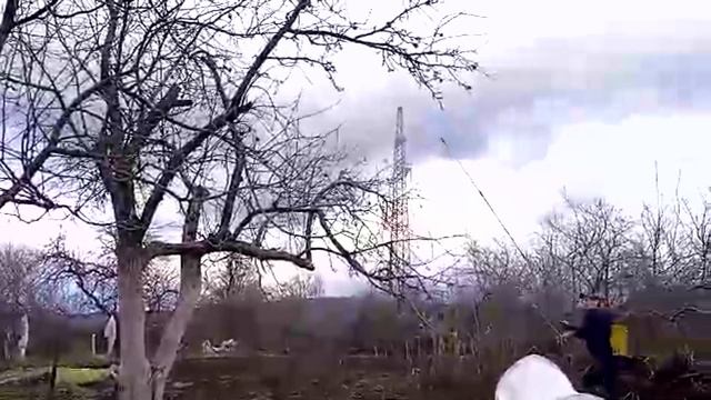 когда и чем обрабатываю сад от болезней и вредителей