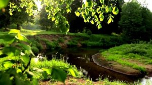 РЕЛАКС. Ручей в лесу. Звуки природы. Пение птиц солнечным днем