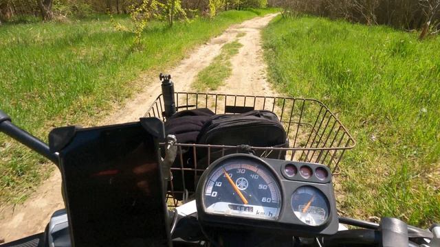 Покатушка в лес вдоль реки Кубань