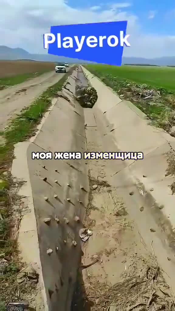 2/3 Часть || #история #реддит