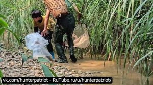 Как запрудить ручей и поймать крупного карпа на продажу: рыболовные навыки в дикой природе 🐟🌲