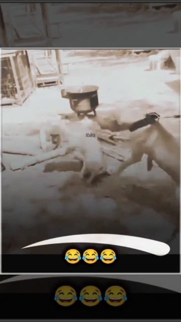 Опасная игра 