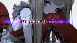 CVllXXX - ZEIDO´NIER