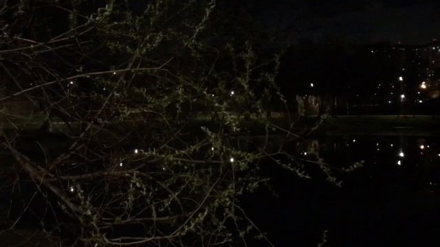 природа 🌳🍃🌿☘️.mp4