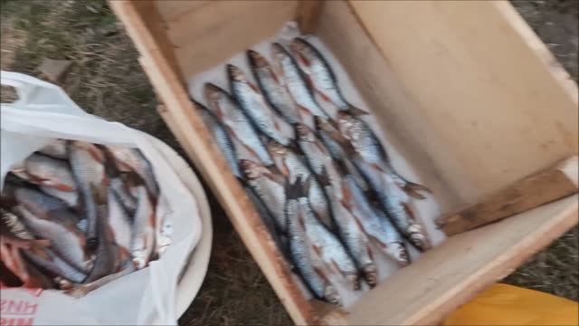 Рецепт вкусной рыбы. Сухой посол.