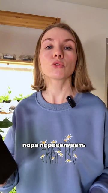 Как понять, что рассаду питунии пришло время пересаживать.