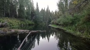 Жор у хариуса. Путешествие по кристально чистой таёжной реке.