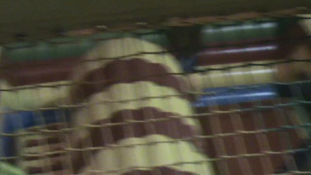 38)Л АНАПА ПАРК