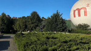 Прогулки по Тбилиси