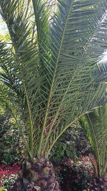 Доброе утро! Отличного солнечного денечка! Адлер, апрель 2026.