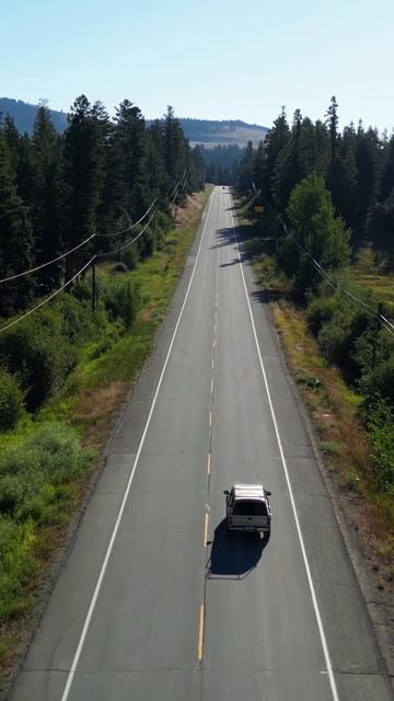 Лечиться было бесполезно...