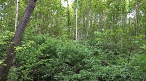 Послушай 15 Минут Матрица Гаряева Настоящая Восстановление Костей и Мышц [get.gt]