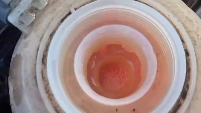 GB5458	Volkswagen	Polo 2003