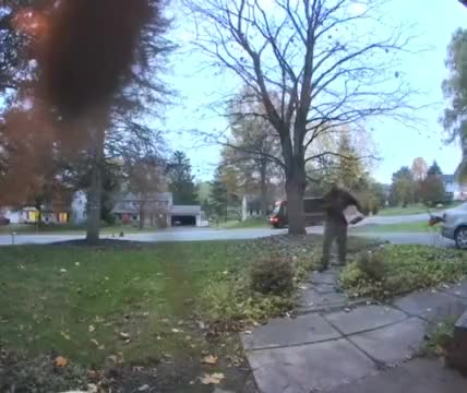 Звонок с дополнительными эффектами приступа жопы.