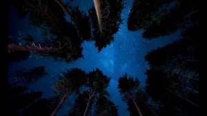 Звёздное небо и звуки леса: засыпаем спокойно